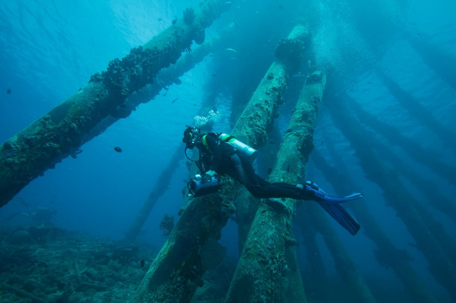 Penyelam memeriksa tiang-tiang terendam di bawah air, ilustrasi underwater repair dermaga